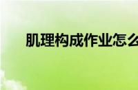 肌理构成作业怎么做（肌理作业图片）