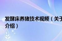 发酵床养猪技术视频（关于发酵床养猪技术视频的基本详情介绍）