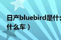 日产bluebird是什么车型（日产Bluebird是什么车）