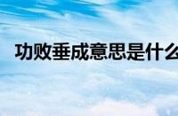 功败垂成意思是什么（功败垂成意思解释）