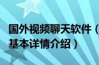 国外视频聊天软件（关于国外视频聊天软件的基本详情介绍）