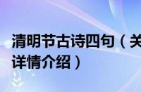 清明节古诗四句（关于清明节古诗四句的基本详情介绍）
