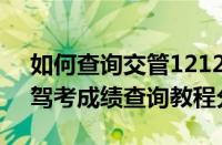 如何查询交管12123驾考成绩（交管12123驾考成绩查询教程分享）