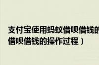 支付宝使用蚂蚁借呗借钱的操作过程视频（支付宝使用蚂蚁借呗借钱的操作过程）