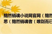黯然销魂小说网官网（黯然销魂者（唯别而已矣.这句话的意思（黯然销魂者（唯别而已矣出自））
