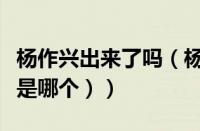 杨作兴出来了吗（杨作新人物原型（杨的原型是哪个））