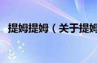 提姆提姆（关于提姆提姆的基本详情介绍）