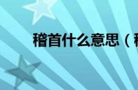 稽首什么意思（稽首什么意思解释）