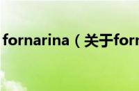 fornarina（关于fornarina的基本详情介绍）