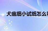 犬瘟细小试纸怎么看（细小试纸怎么看）