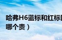 哈弗H6蓝标和红标区别（哈弗H6红标和蓝标哪个贵）