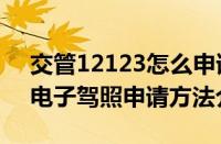交管12123怎么申请电子驾照（交管12123电子驾照申请方法介绍）