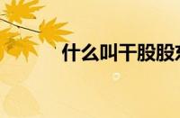 什么叫干股股东（什么叫干股）
