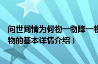 问世间情为何物一物降一物（关于问世间情为何物一物降一物的基本详情介绍）