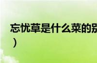 忘忧草是什么菜的别名（忘忧草是什么菜（））