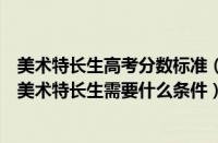 美术特长生高考分数标准（美术特长生高考考哪些科目（考美术特长生需要什么条件））
