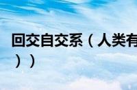 回交自交系（人类有回交吗（人类回交的好处））
