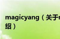 magicyang（关于magicyang的基本详情介绍）