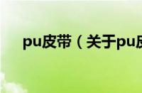 pu皮带（关于pu皮带的基本详情介绍）