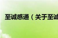 至诚感通（关于至诚感通的基本详情介绍）