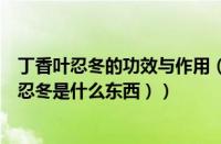 丁香叶忍冬的功效与作用（丁香叶忍冬是什么植物（丁香叶忍冬是什么东西））