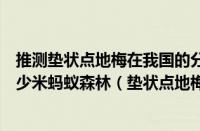 推测垫状点地梅在我国的分布（垫状点地梅每年生长直径多少米蚂蚁森林（垫状点地梅分布区的优势植被））