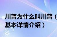 川普为什么叫川普（关于川普为什么叫川普的基本详情介绍）