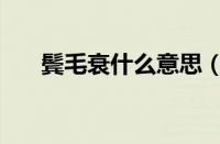 鬓毛衰什么意思（鬓毛衰意思是什么）