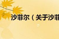 沙菲尔（关于沙菲尔的基本详情介绍）