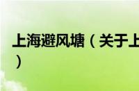 上海避风塘（关于上海避风塘的基本详情介绍）