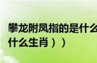 攀龙附凤指的是什么生肖（（喜欢攀龙附凤是什么生肖））
