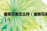 废柴兄弟怎么样（废柴兄弟中艾玛结局（废材兄弟艾玛结局））