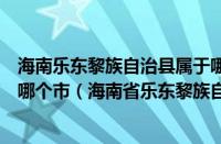 海南乐东黎族自治县属于哪个镇（海南乐东黎族自治县属于哪个市（海南省乐东黎族自治县））
