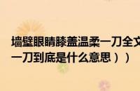 墙壁眼睛膝盖温柔一刀全文阅读（温柔一刀是什么梗（温柔一刀到底是什么意思））