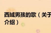西域男孩的歌（关于西域男孩的歌的基本详情介绍）