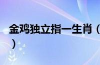金鸡独立指一生肖（金鸡独立指的是什么生肖）