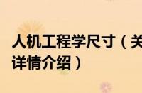 人机工程学尺寸（关于人机工程学尺寸的基本详情介绍）