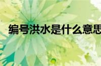 编号洪水是什么意思（洪水的意思是什么）