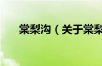 棠梨沟（关于棠梨沟的基本详情介绍）
