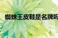 蜘蛛王皮鞋是名牌吗（蜘蛛王鞋是名牌吗）