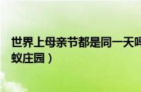 世界上母亲节都是同一天吗（世界上母亲节都是同一天吗蚂蚁庄园）