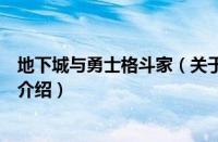 地下城与勇士格斗家（关于地下城与勇士格斗家的基本详情介绍）