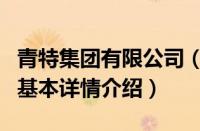 青特集团有限公司（关于青特集团有限公司的基本详情介绍）