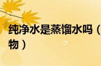 纯净水是蒸馏水吗（蒸馏水是纯净物还是混合物）