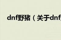 dnf野猪（关于dnf野猪的基本详情介绍）