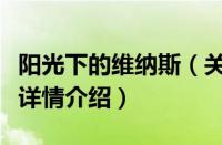 阳光下的维纳斯（关于阳光下的维纳斯的基本详情介绍）