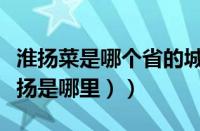 淮扬菜是哪个省的城市（淮扬是哪里的菜（淮扬是哪里））