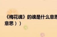 《梅花魂》的魂是什么意思啊（（梅花魂中的魂指的是什么意思））