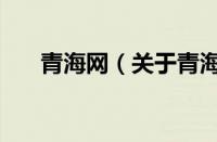 青海网（关于青海网的基本详情介绍）