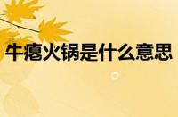 牛瘪火锅是什么意思（牛瘪火锅是什么做的）